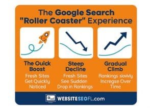 GSC Case Study SEO Infographic - Rankings Roller Coaster for new websites