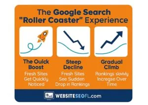 GSC Case Study SEO Infographic - Rankings Roller Coaster for new websites